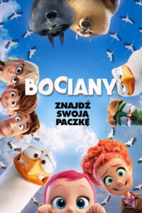 Bociany – CDA 2016
