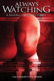 Always Watching: A Marble Hornets Story – CDA 2015
