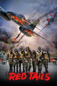 Eskadra: 'Czerwone Ogony' – CDA 2012