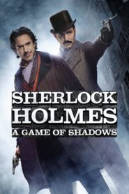 Sherlock Holmes: Gra cieni – CDA 2011